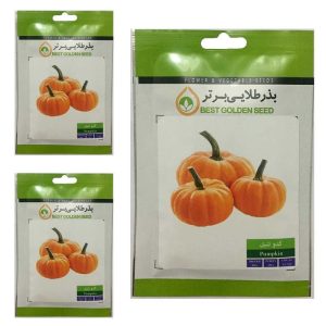 بذر کدو تنبل بذر طلایی برتر مجموعه 3 عددی